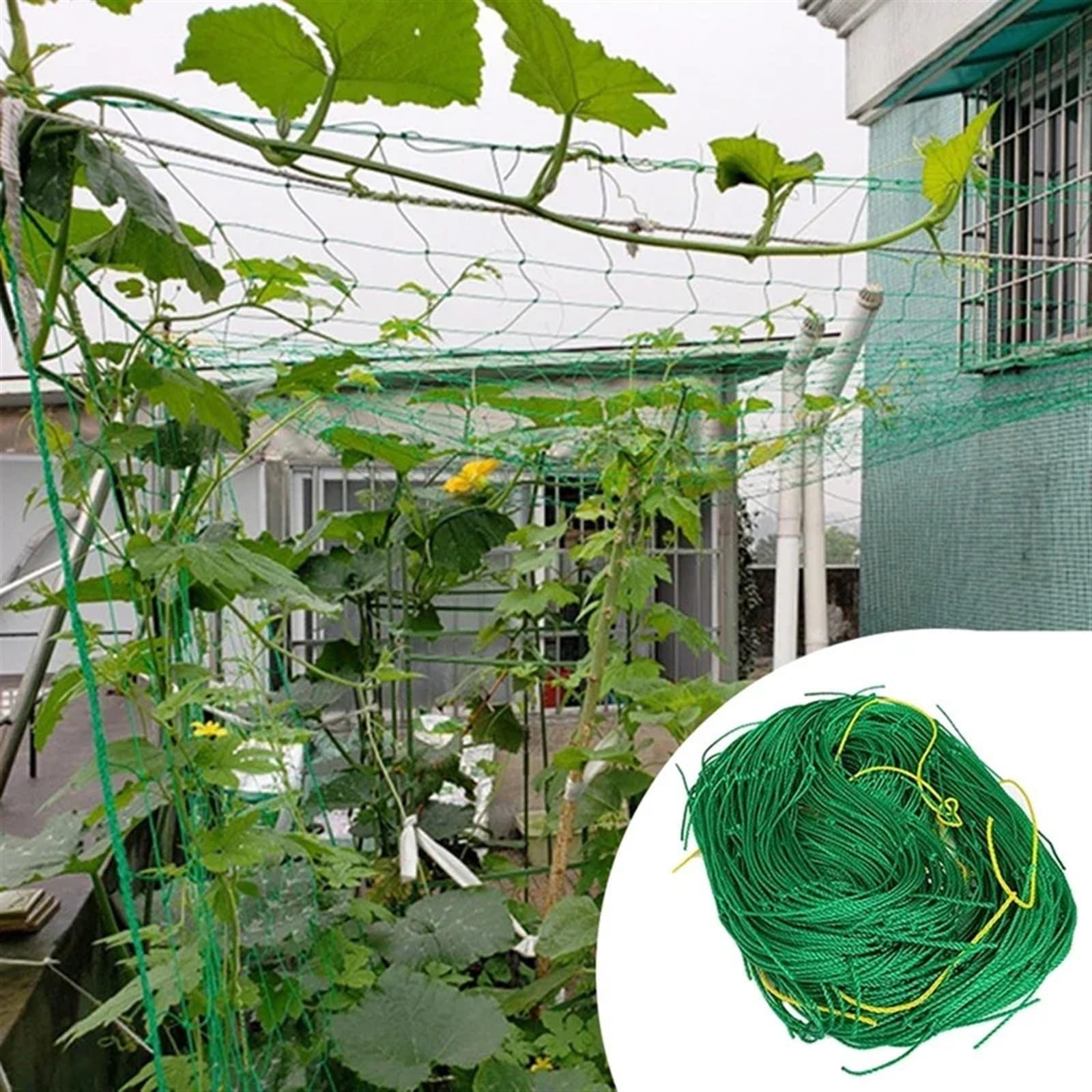 Nylonowa siatka wspinaczkowa do winorośli, ogórków, luffa, roślin, 18 żyłek, 3,6 x 1,8 m, idealna do ogrodnictwa pionowego
