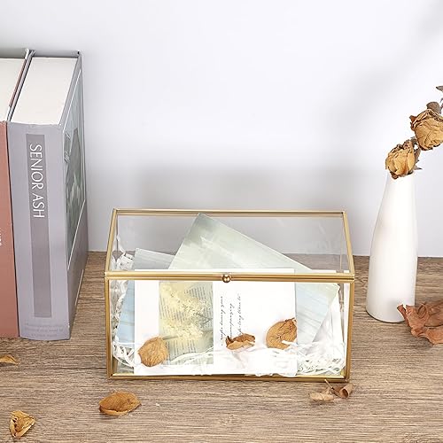 Miniatura 6 de ELLDOO Soporte de cápsulas de café de vidrio dorado, caja de almacenamiento de cápsulas de café con tapa, bolsas de té, paquetes de azúcar, soporte