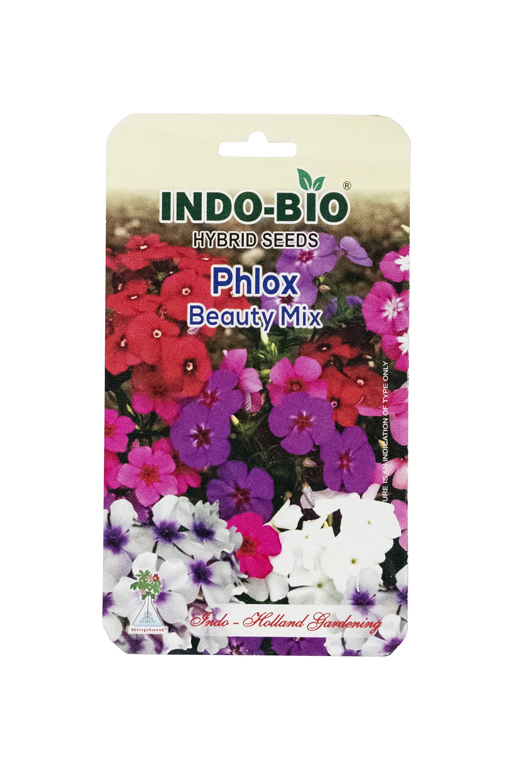 See full amazon price history chart for INDO-BIO Sow and Grow Fresh Healthy Seed in Your Garden Perfect for Home & Terrace Gardening High Germination Seeds (Phlox Beauty Mix) INDO-BIO Sow and Grow Fresh Healthy Seed in Your Garden Perfect for Home & Terrace Gardening High Germination Seeds (Phlox Beauty Mix) (B0BGPZQ75Y) Amazon Price History, Amazon Price Tracker