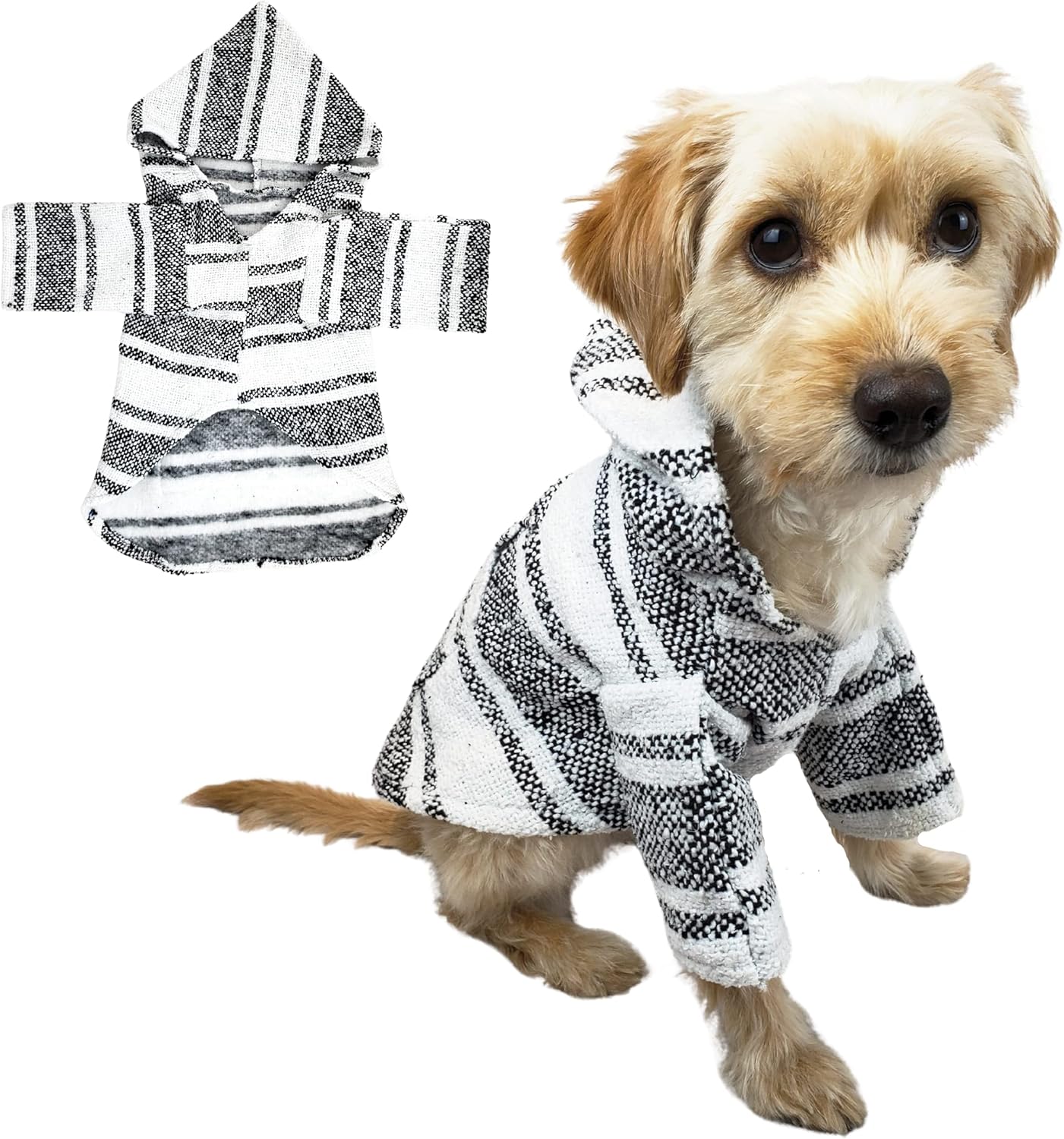 mexican dog outfit