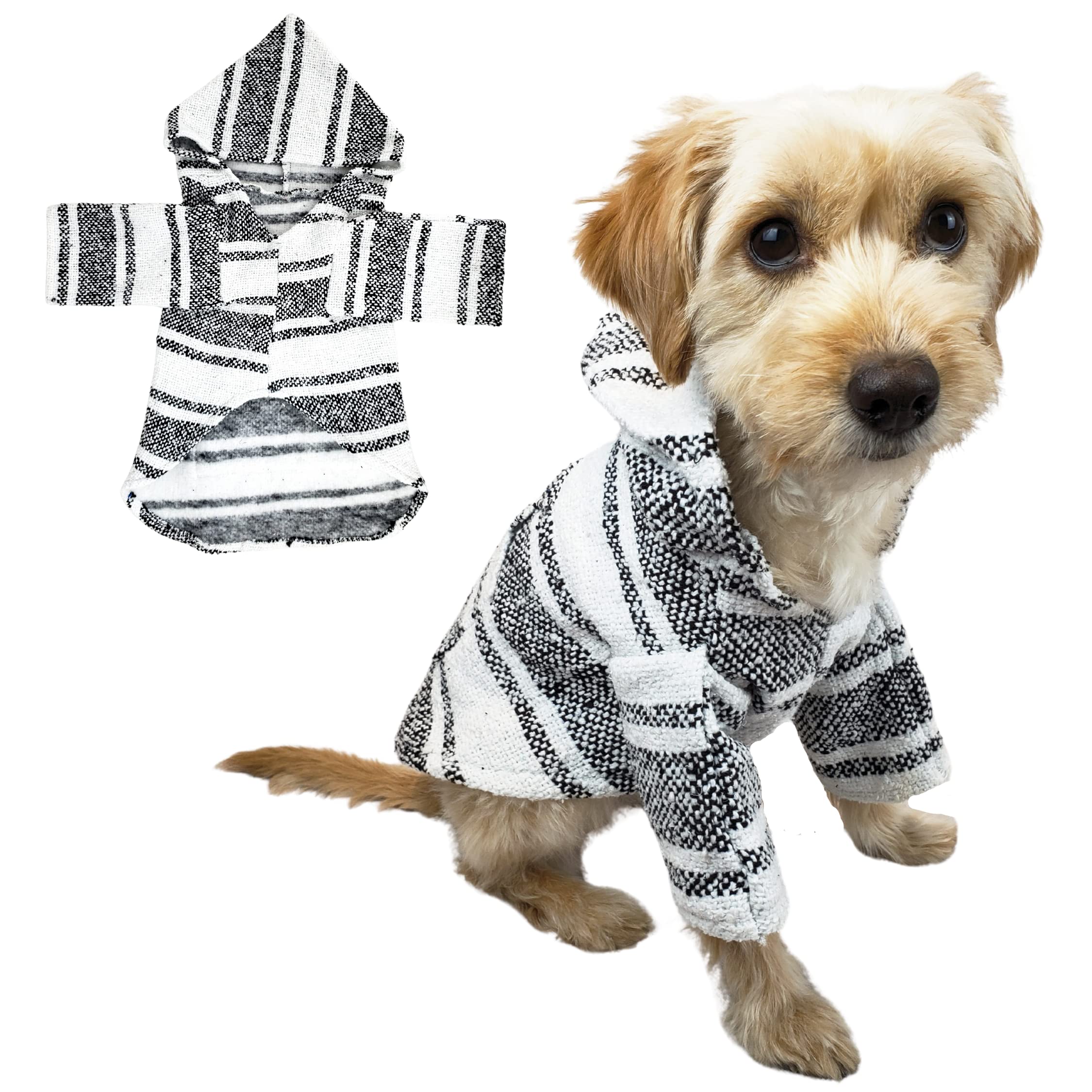 How To Take Your Dog To Mexico