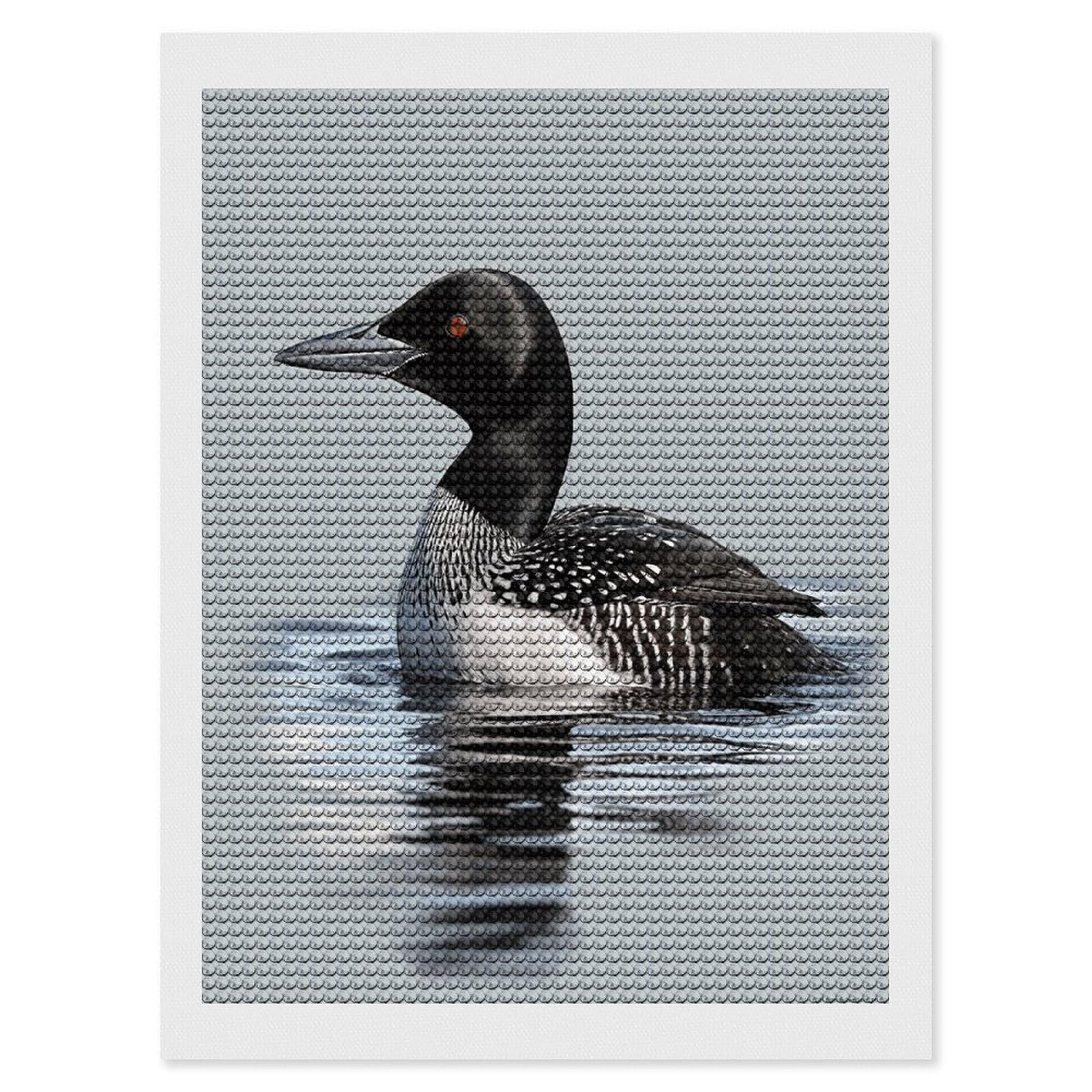 Pintura de puntos de diamante Loon Nature Bird para decorar el salón de casa con arte DIY 8