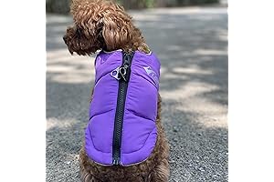 Warm and Dapper Doggy Royal Furry Jacket