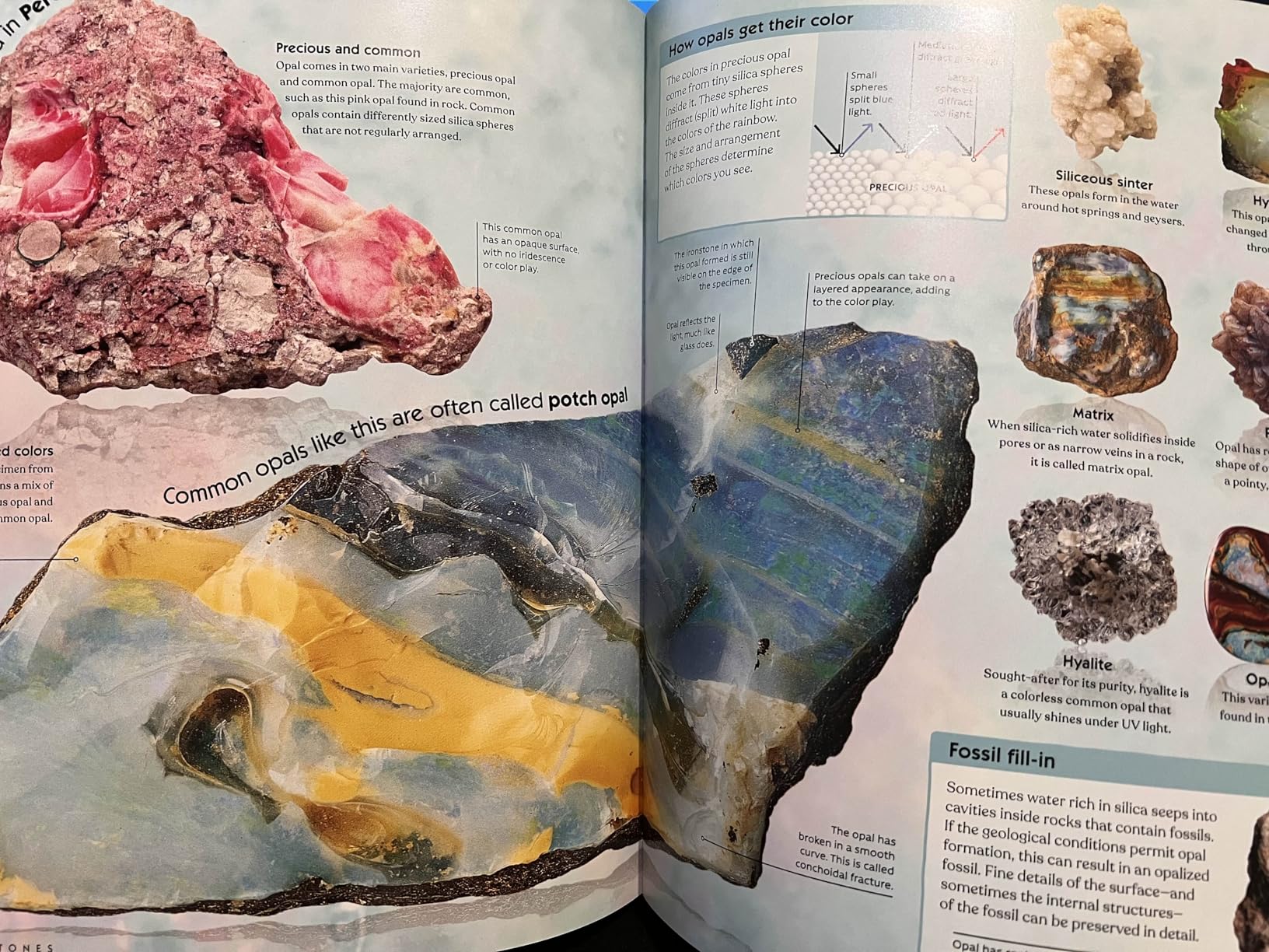 Treasures of the Earth: Rocks, Minerals, Crystals, and Gems eBook : DK ...