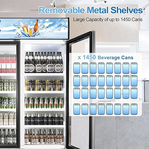 Vista 132 de Tylza Refrigerador de vino de doble zona, refrigerador de vino y bebidas de 24 pulgadas integrado o independiente, nevera de cerveza de vino debajo