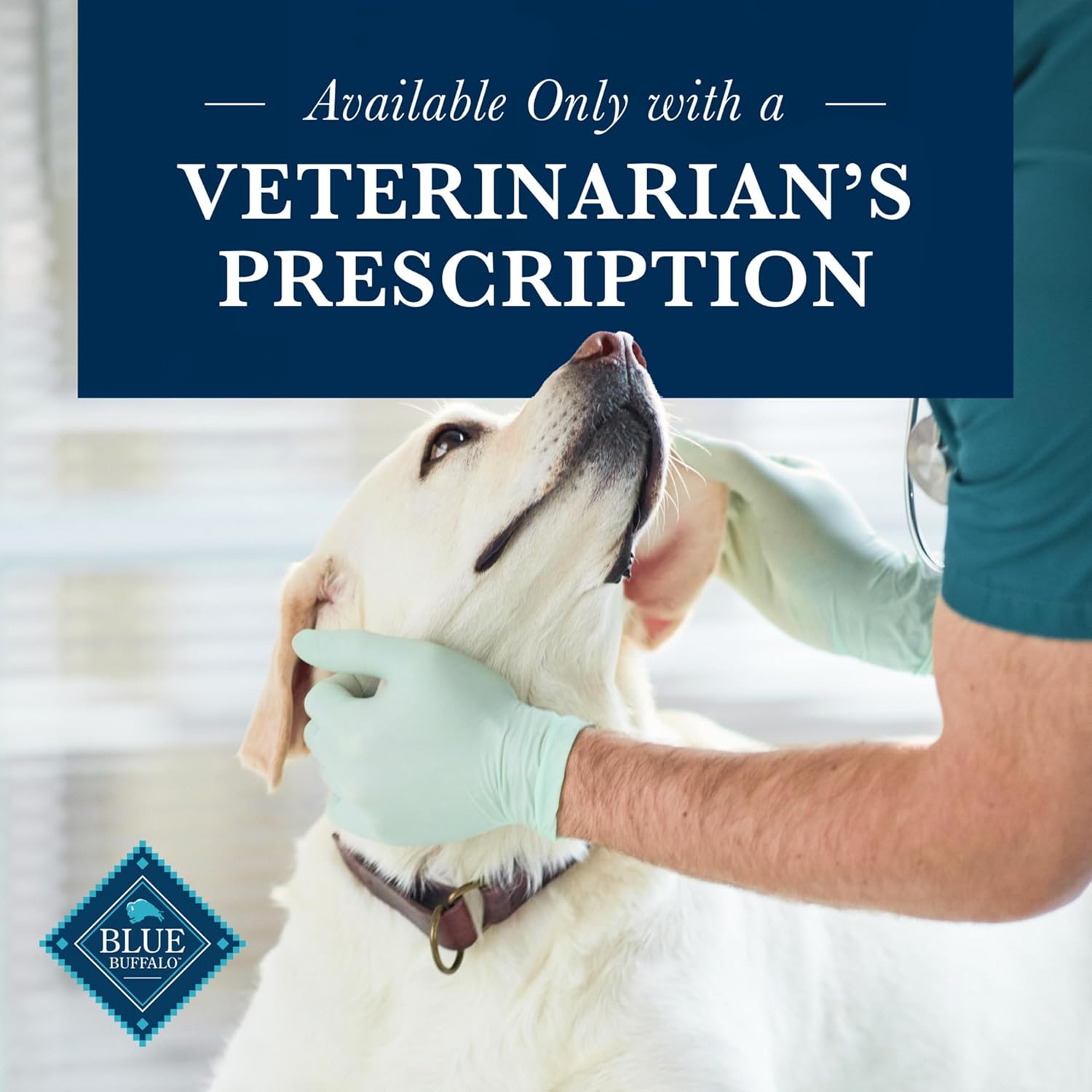 Blue Buffalo Natural Veterinary Diet Gastrointestinal Support Wet Dog Food, Veterinarian Prescription Required, Chicken, 12.5-oz. Cans (12 Count)