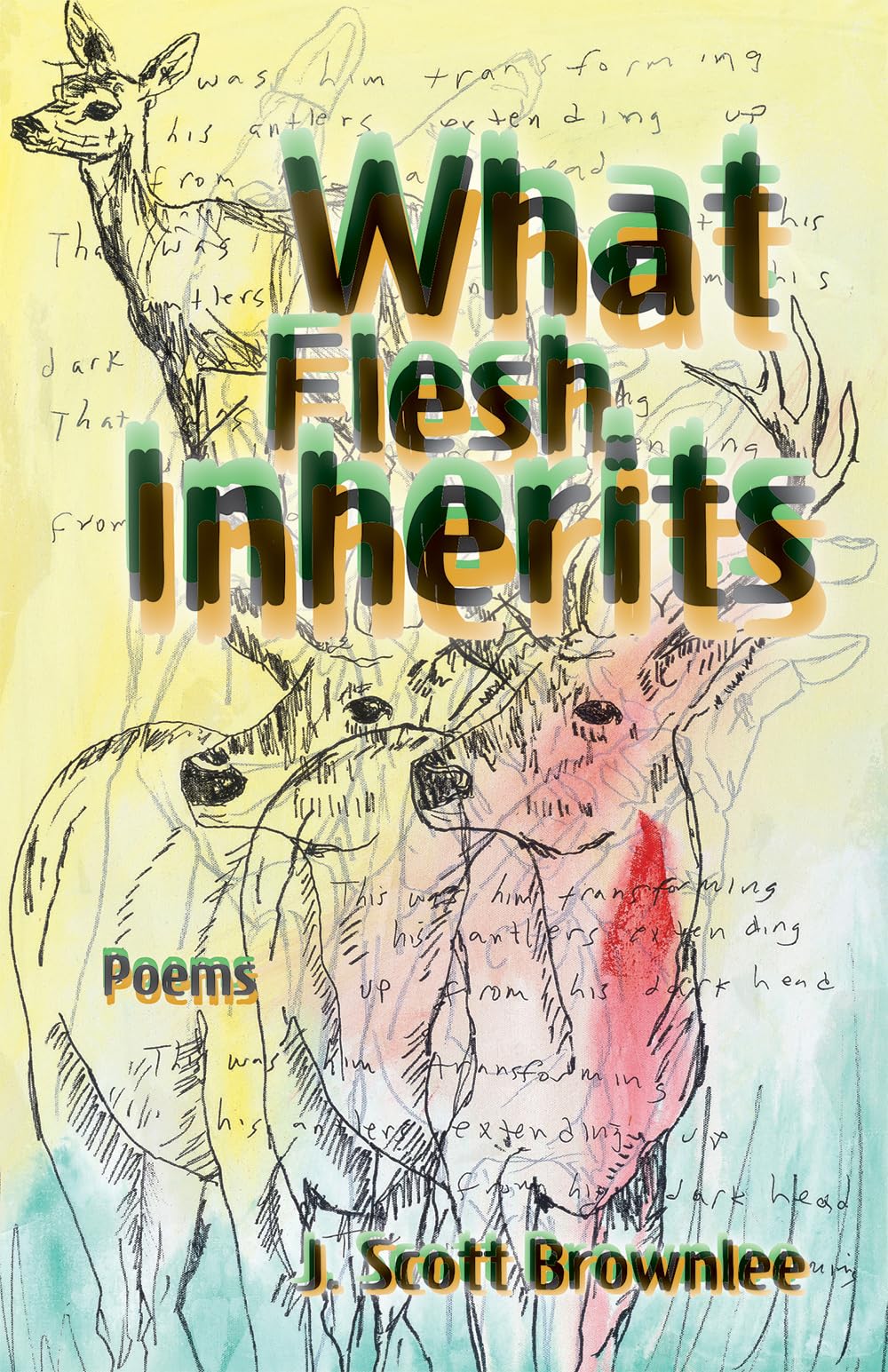 What Flesh Inherits, Volume 14: Poems (The Sabine Series in Literature)