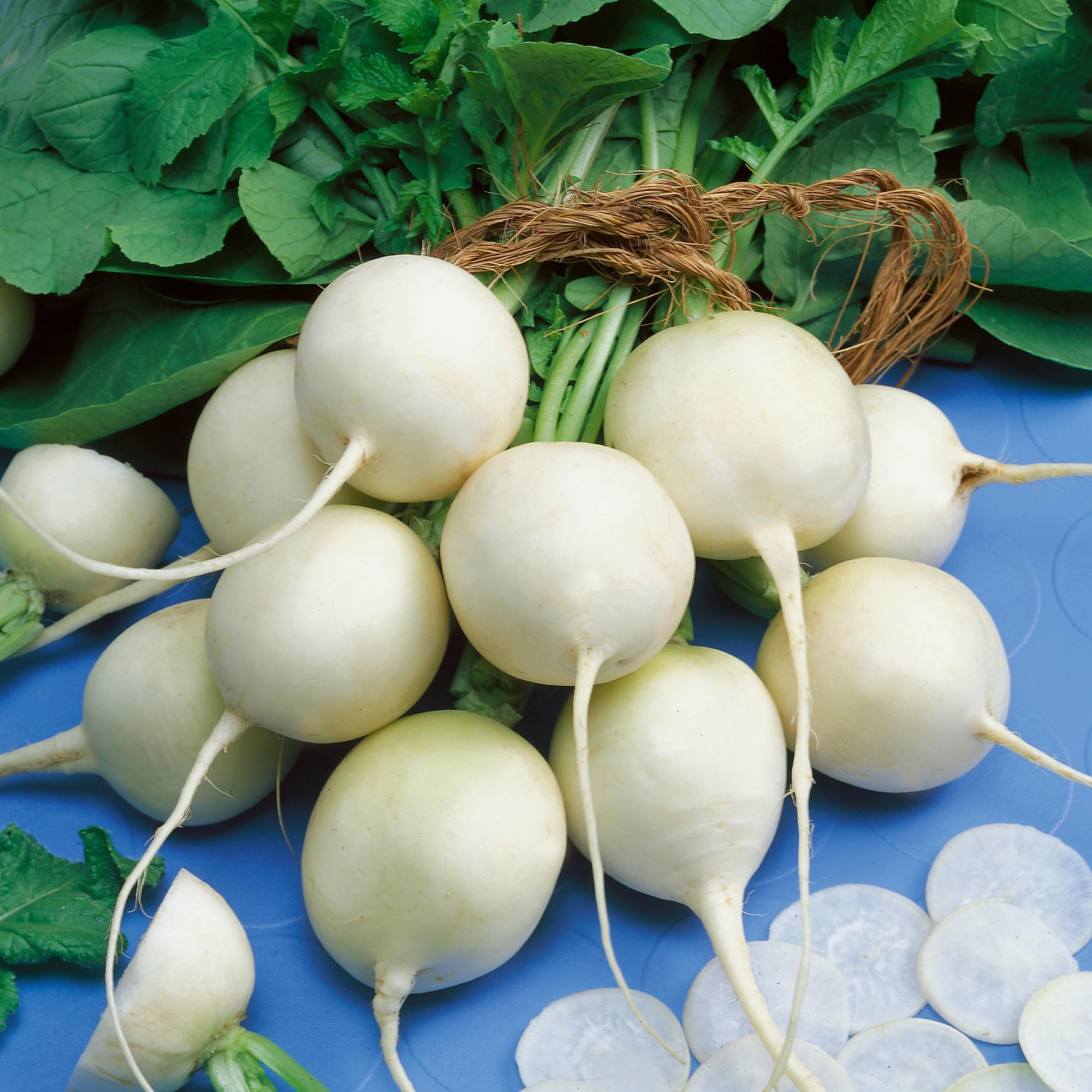 Philadelphia White Box Radish Seeds - 4 Oz ~27200 Seeds - Non-GMO, Heirloom - Vegetable Garden, Growing Microgreens - Raphanus sativus
