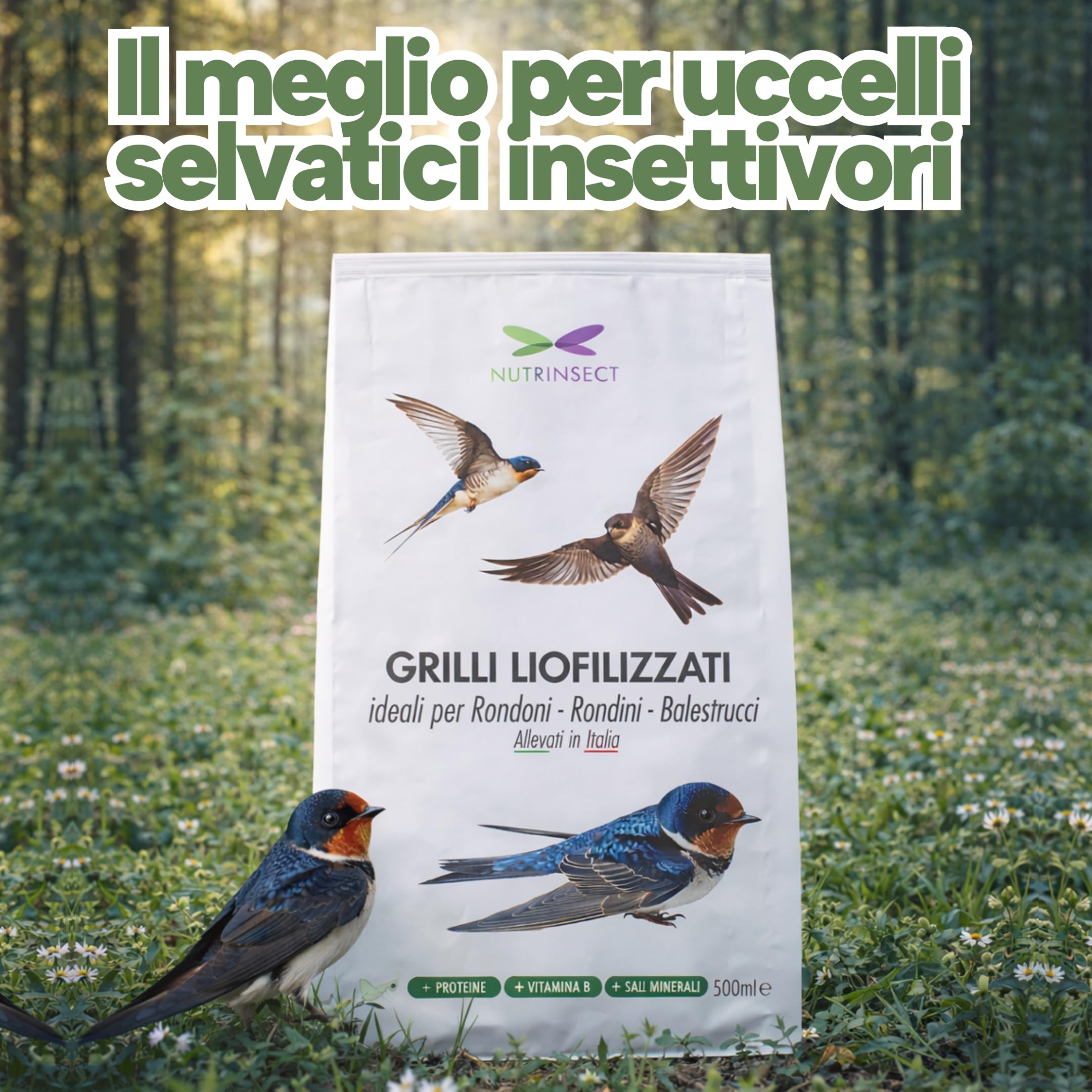 Grilli Liofilizzati 500ml Mangime Uccelli Selvatici Rondini, Rondoni, Balestrucci e Altri Uccelli Insettivori Ideale anche per Geco, Camaleonte, Tartarughe e Pesci Grilli per Rondini Cibo Alta Qualità
