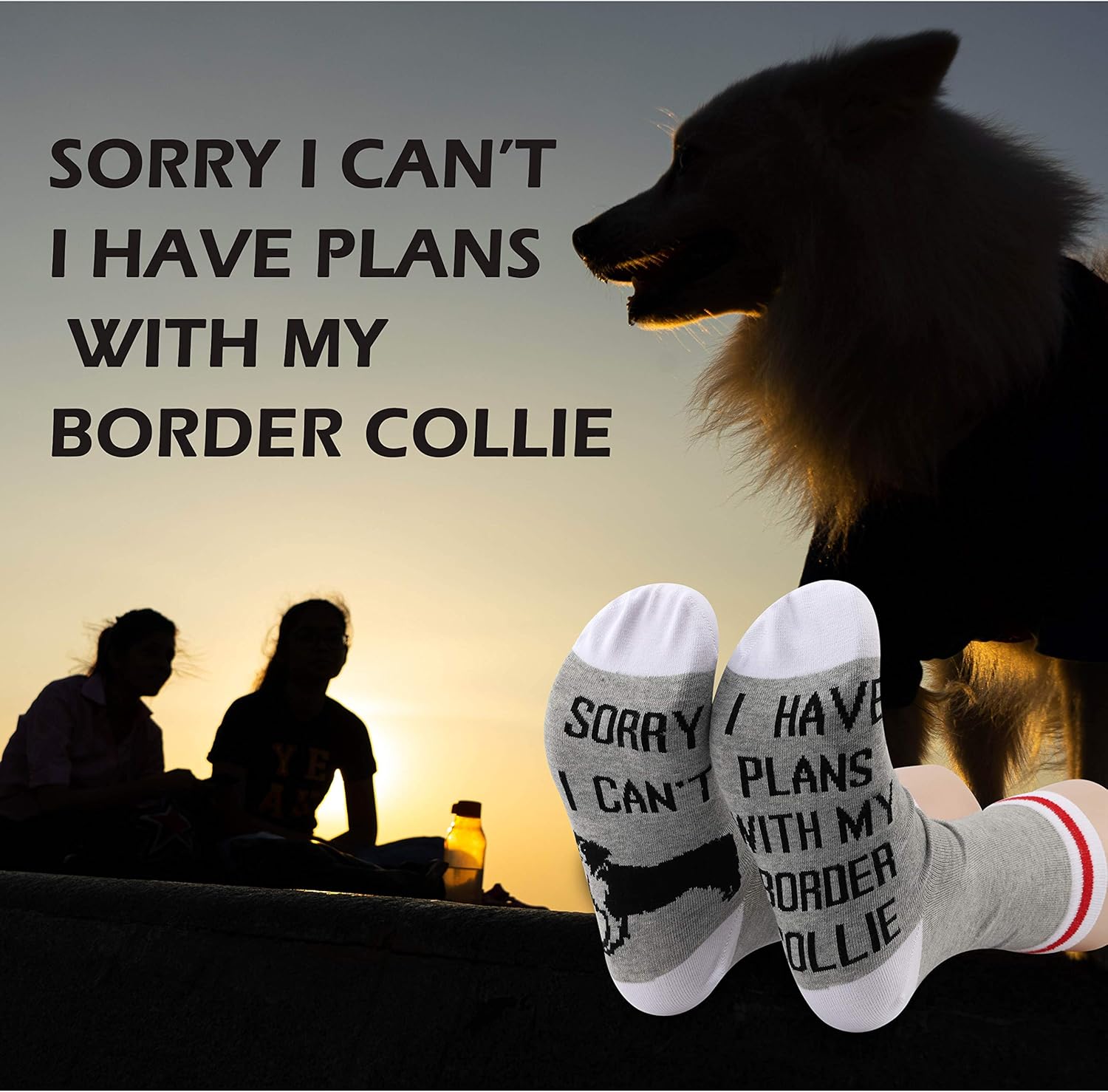 GJTIM 2PAIRS Border Collie Gift Sorry i Can't I Have Plan With Border Collie Socks For Border Collie Dog Lover - Image 5