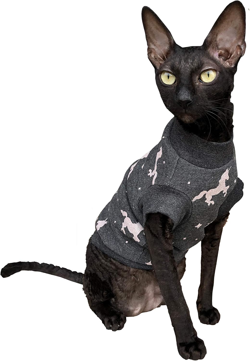 石井葉子 妖怪 イヌジマ 2体 (価格は一体あたりの価格です