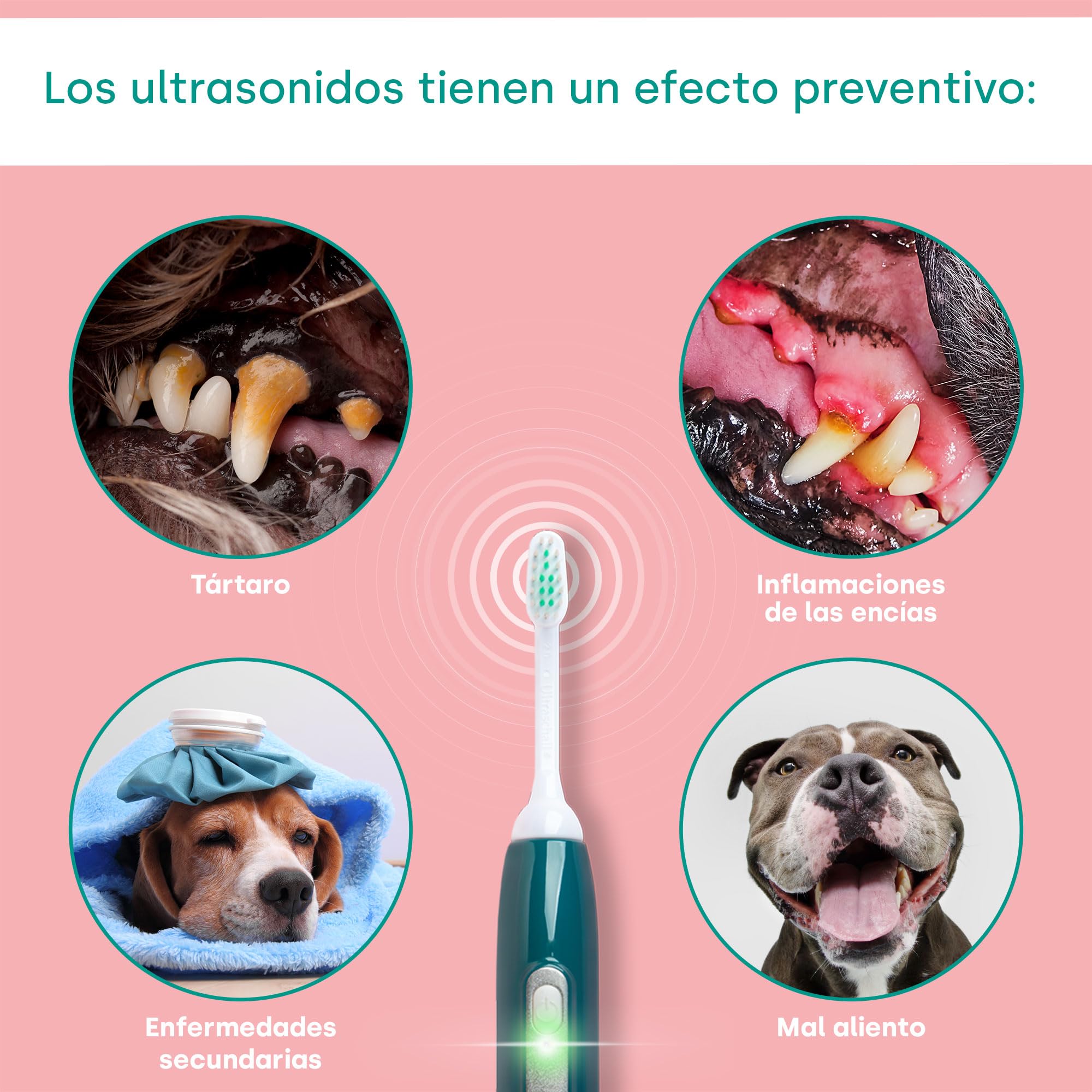 emmi-pet 2.0 Set de Cuidado Dental Inicial para Perros y Gatos - Silencioso y sin Frotar I Cepillo Ultrasónico para Perros y Gatos + Accesorios I Combate el Sarro, el Mal Aliento y la Gingivitis
