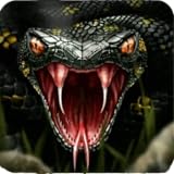 Venom Snake Attack Simulator 3D