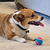 Vista 8 de Bola de juguete para perros Ethical Pets Sensory Ball, 2.5", Colores Variados