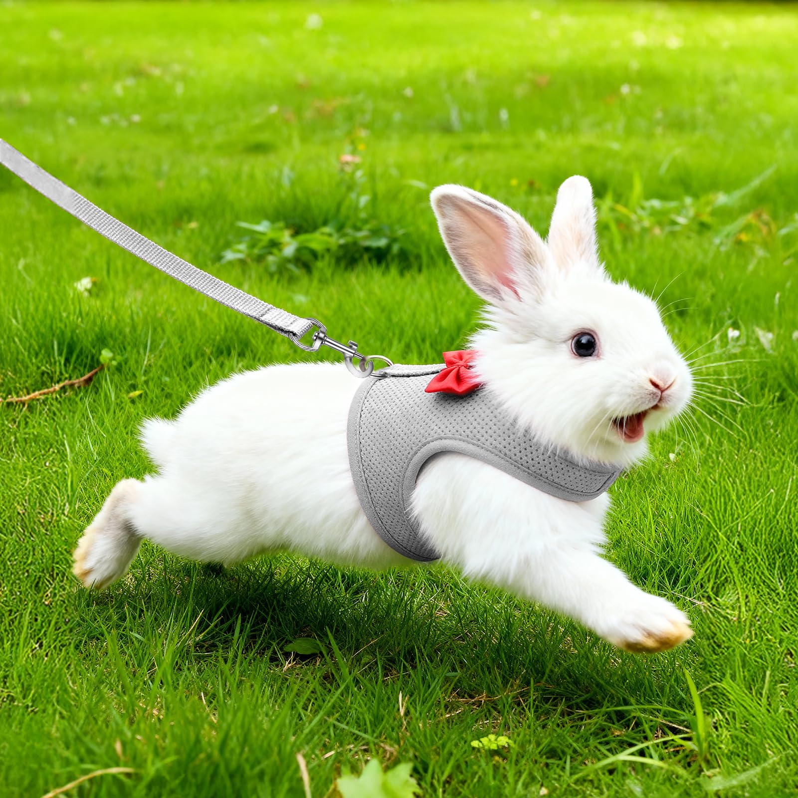 Harnais souple réglable avec laisse élastique pour lapin furet chaton chiot petits animaux gris