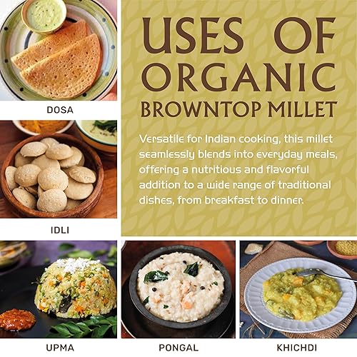 Miniatura 5 de Jiva Organics Browntop Millet Bolsa de 2 libras Grano entero, sin gluten y orgánico Superalimento rico en proteínas y fibra para una cocina