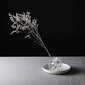 Amazon.co.jp: ガラスの剣山 大 花留め 花止め 日本製 伊藤泰三