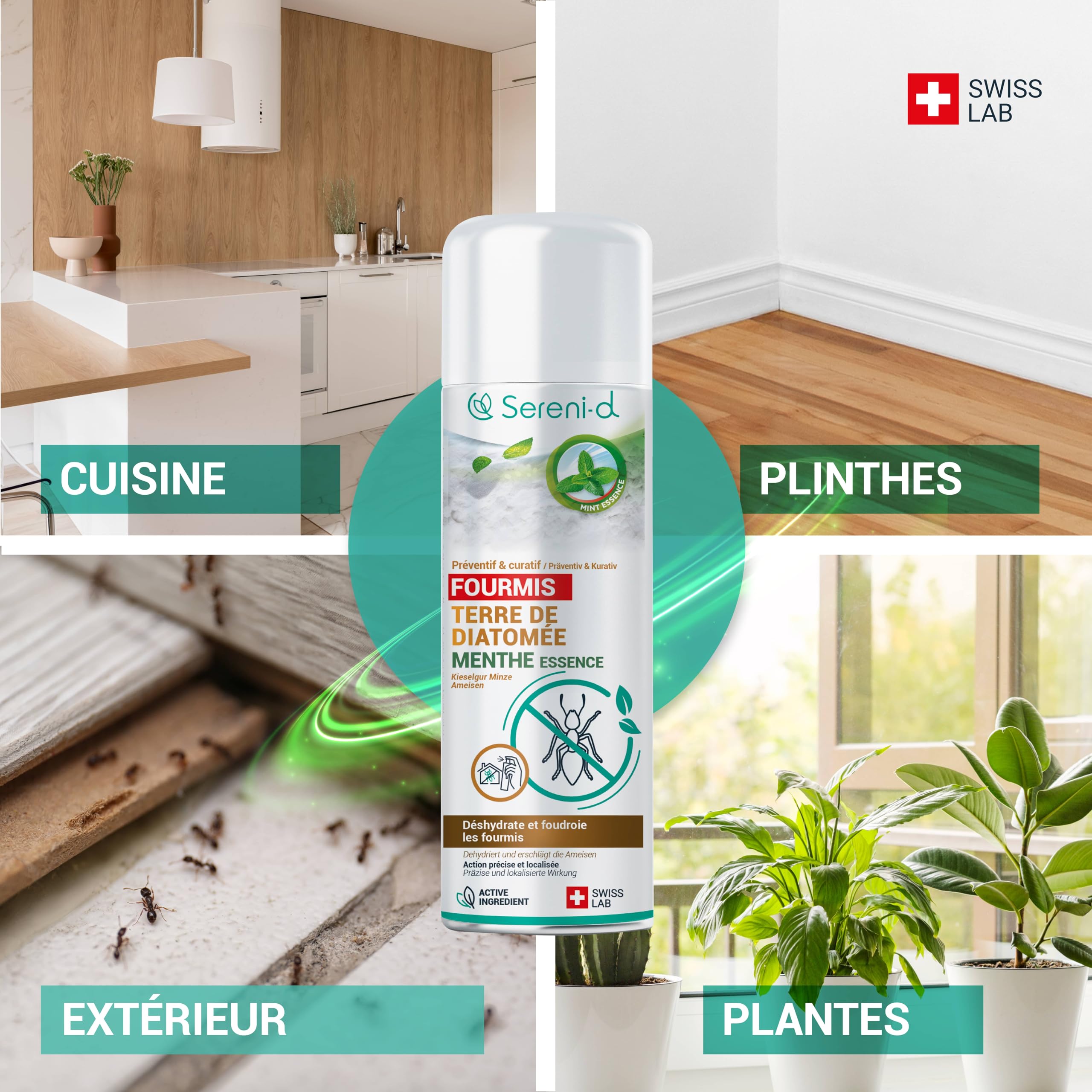 TERRE DE DIATOMÉE MENTHE FOURMIS– EFFICACITÉ FOUDROYANTE – 100% d'ORIGINE NATURELLE - Action IMMÉDIATE et EFFICACE - Swiss Lab