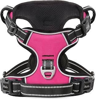 HEELE Dog Harness, No Pull Dog Harness, Release on Neck, Reflective Adjustable Dog Harness with Front Back 2 Leash Attachments and Soft Padded Control Handle for Small Medium Large Dogs, Fuchsia, L
