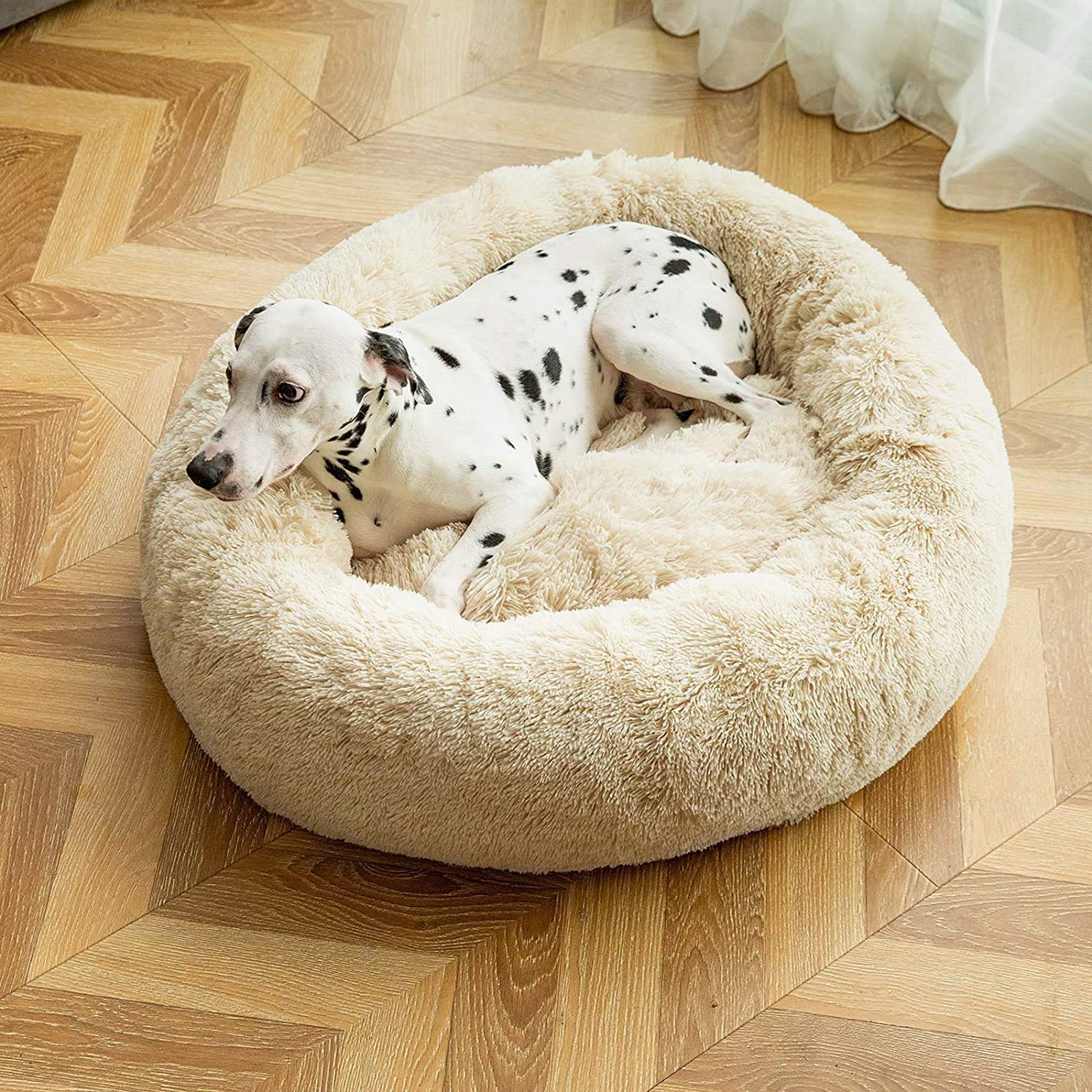Donut Hundebett Flauschig Katzenbett Waschbar Abnehmbarem Hundekissen, Schönes Hundekörbchen Deluxe Weiches Plüsch Haustierbett für Katzen Hunde,100cm,Beige