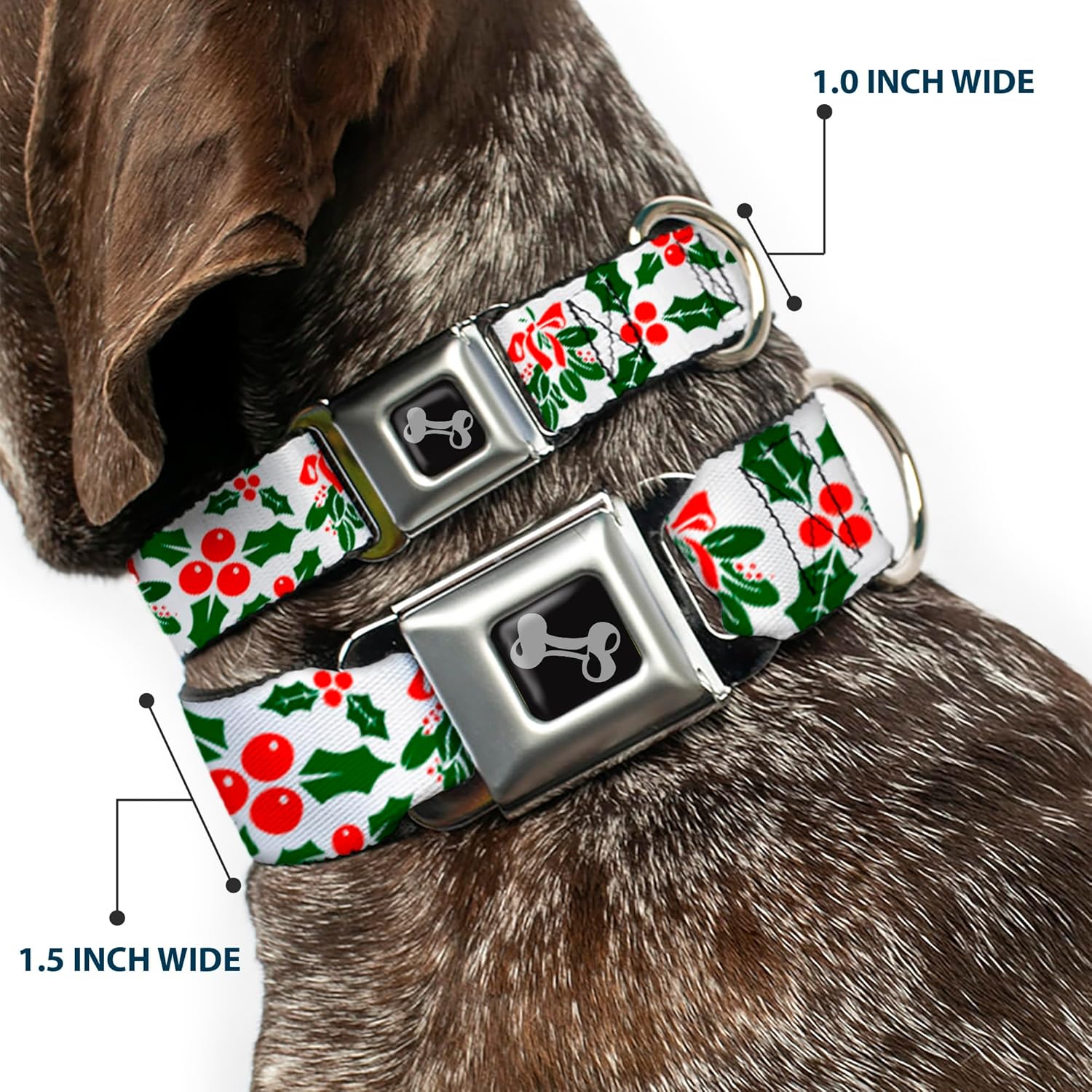 Dog Collar Seatbelt Buckle Holly Mistletoe 18 to 32 Inches 1.5 Inch Wide