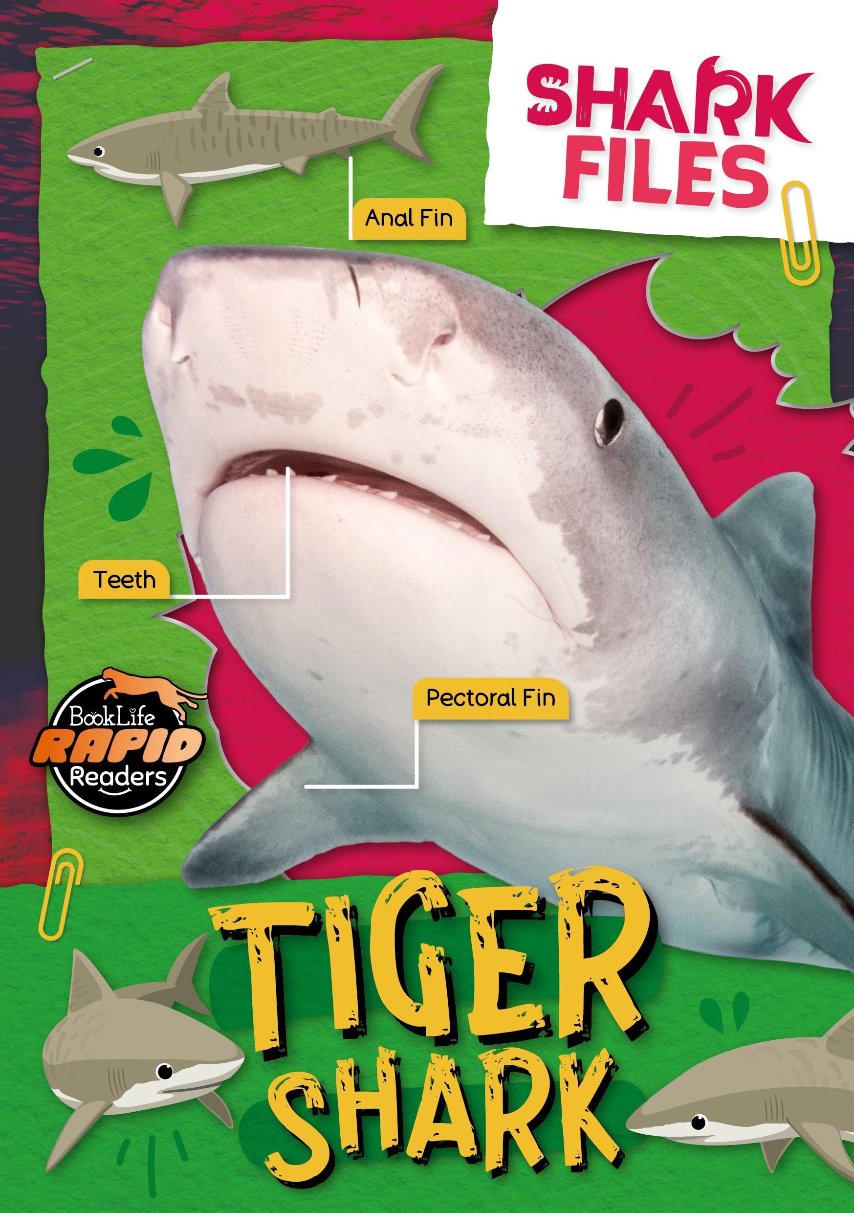 Tiger Shark (Shark Files)
