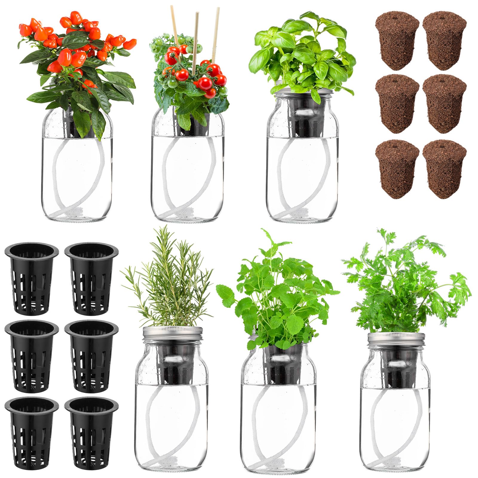 Teenyyou 6er-Set Hydrokultur-Kräutergarten-Pflanzgefäß-Set, inklusive 6 selbstbewässernden Einmachgläsern, 6 Pflanzkörben, 6 vorgesäten Wachstumsstopfen und 6 saugfähigen Kernen, Kräuterzucht-Set für