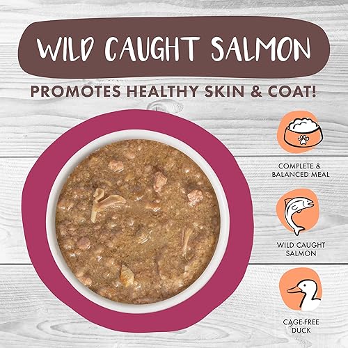 Miniatura 3 de Weruva Classic Cat Stews!, Stewlander con pato y salmón en salsa, lata de 5.5 onzas (paquete de 8)