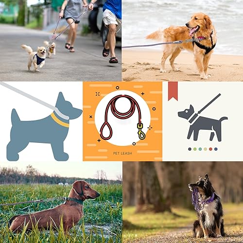 Miniatura 8 de NAZOU Correa de perro de 12 pulgada para perros medianos y grandes de 4 pies, 6 pies, 10 pies, 15 pies, correa resistente para perro, correa