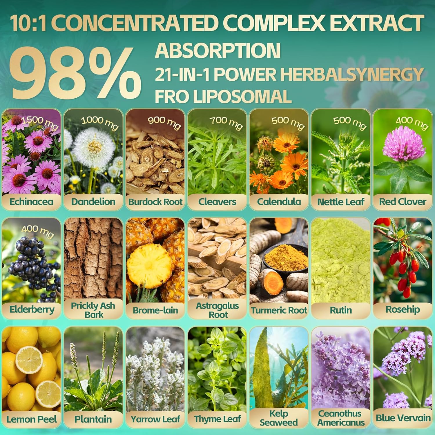 21-in-1 Liposomal Lymphatic Drainage Supplements, 100 Day Supply, 6000mg Lymph System Support for Women & Men with Echinacea, Dandelion, Burdock, Bromelain, Calendula, Turmeric & More, 300 Softgels