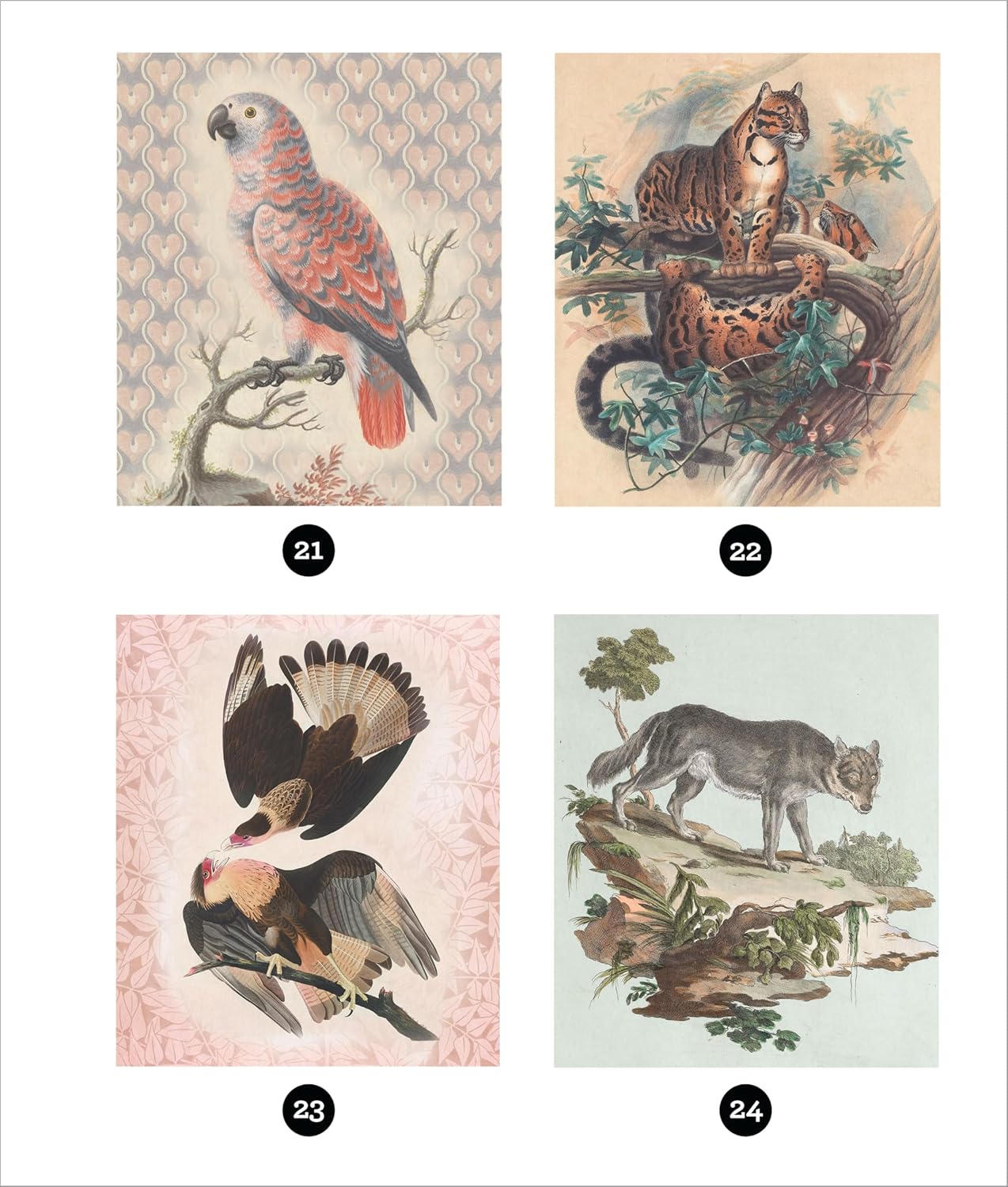 Brain Games - Sticker by Number - Vintage: Animals (28 Images to Sticker) - Image 5