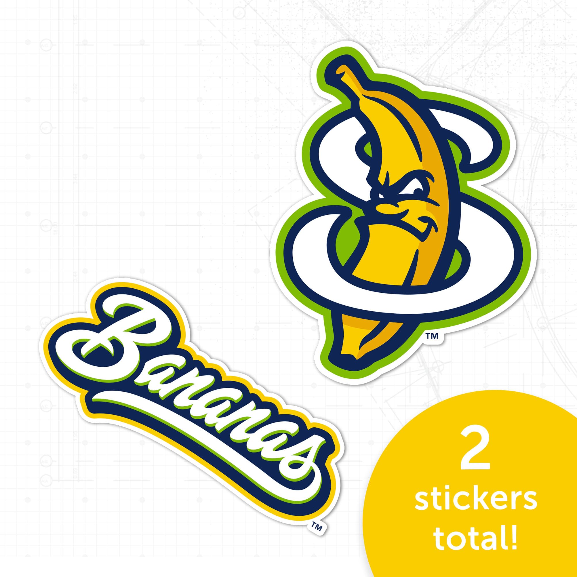 Savannah FBB フランス語　黒枠 Amazon.com: Desert Cactus Savannah Bananas Sticker Decal Vinyl