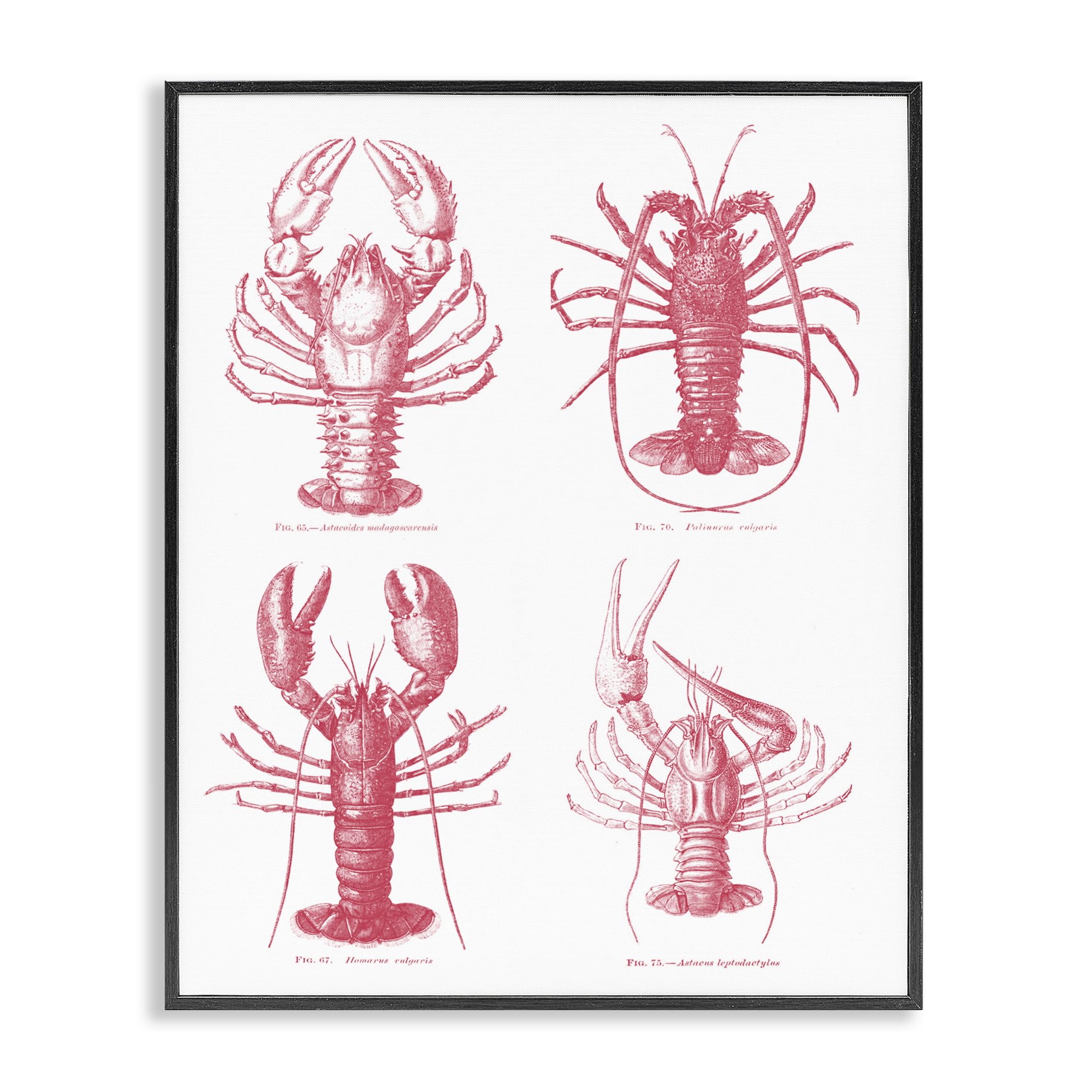 Poster encadré homards intemporels Stupell Industries noir 50x40 cm pour décoration murale chic