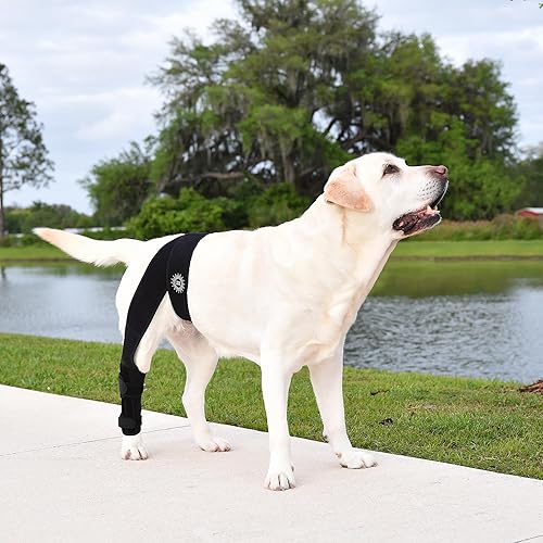 Miniatura 3 de Generic Rodillera grande y transpirable para piernas desgarradas del ligamento cruzado anterior, fácil de usar, soportes de neopreno para piernas