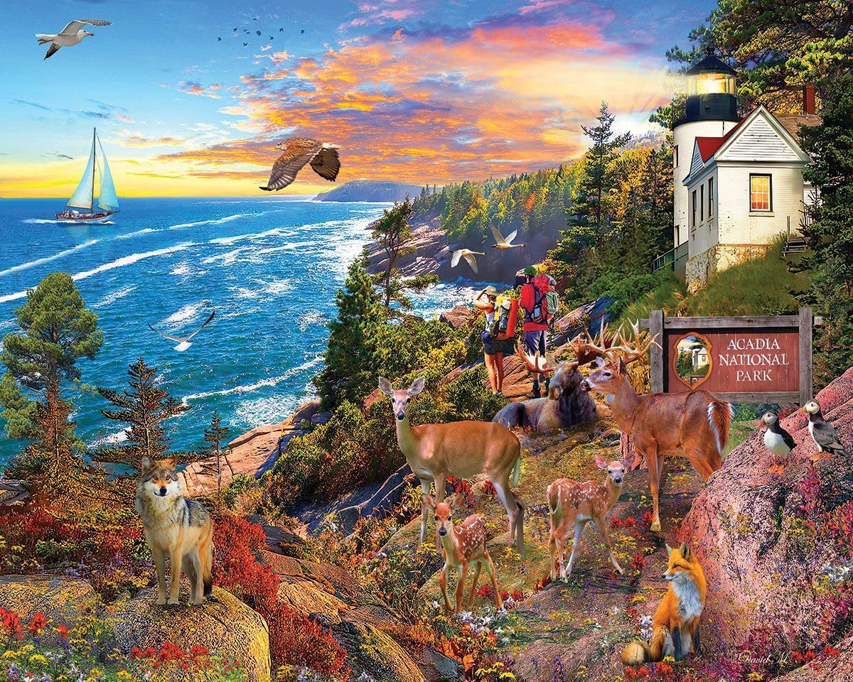 White Mountain 1000 Piece Jigsaw Puzzle Coastal Wildlife Landscape Puzzles with Large Pieces Gift for Adults and Family 24"x30" - Acadia National Park