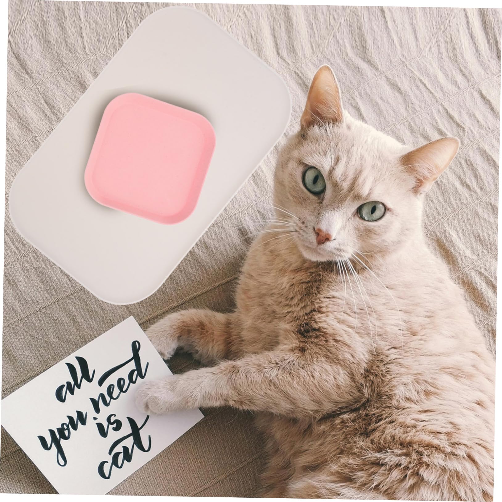 INOOMP 3stücke Pet Placemat Aus Silikon Mit Erhöhtem Rand wasserdichte Futtermatte Für Haustiere Für Katzen Und Hundenäpfe rutschfeste Und Langlebige Unterlage Kleiner