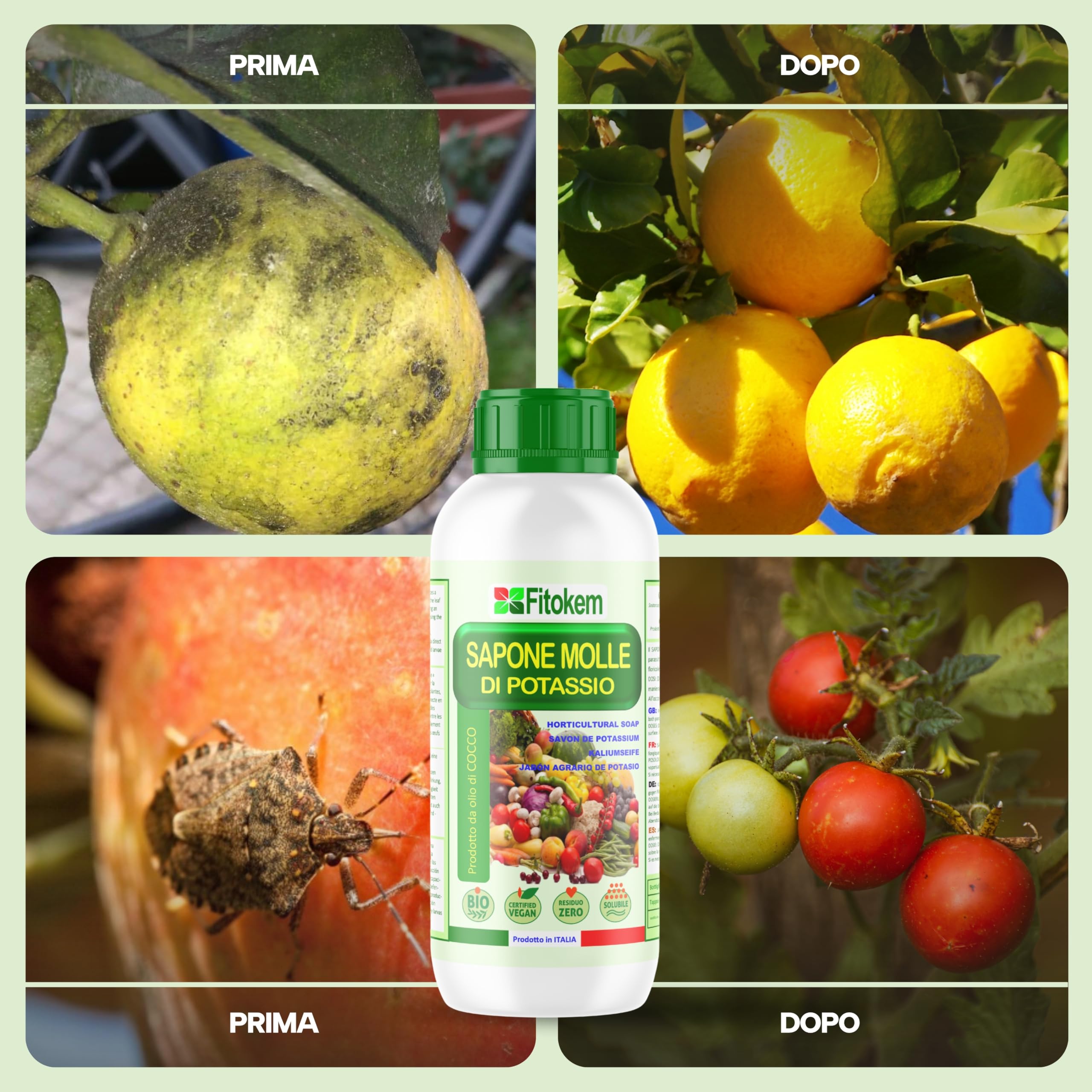 Fitokem Sapone Molle di Potassio 1lt e Olio di Neem 1lt Kit Protezione Piante Corroborante Naturale per Orto e Giardino contro Afidi e Cocciniglia Residuo Zero Made in Italy