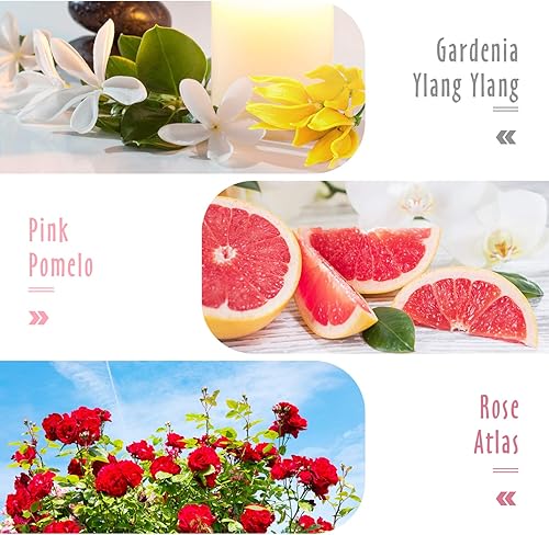 Miniatura 4 de Aceites esenciales, MitFlor - Juego de aceites aromáticos para damas, 6 x 0.3 fl oz, regalo del día de la madre, perfume, jabón y velas, aceites