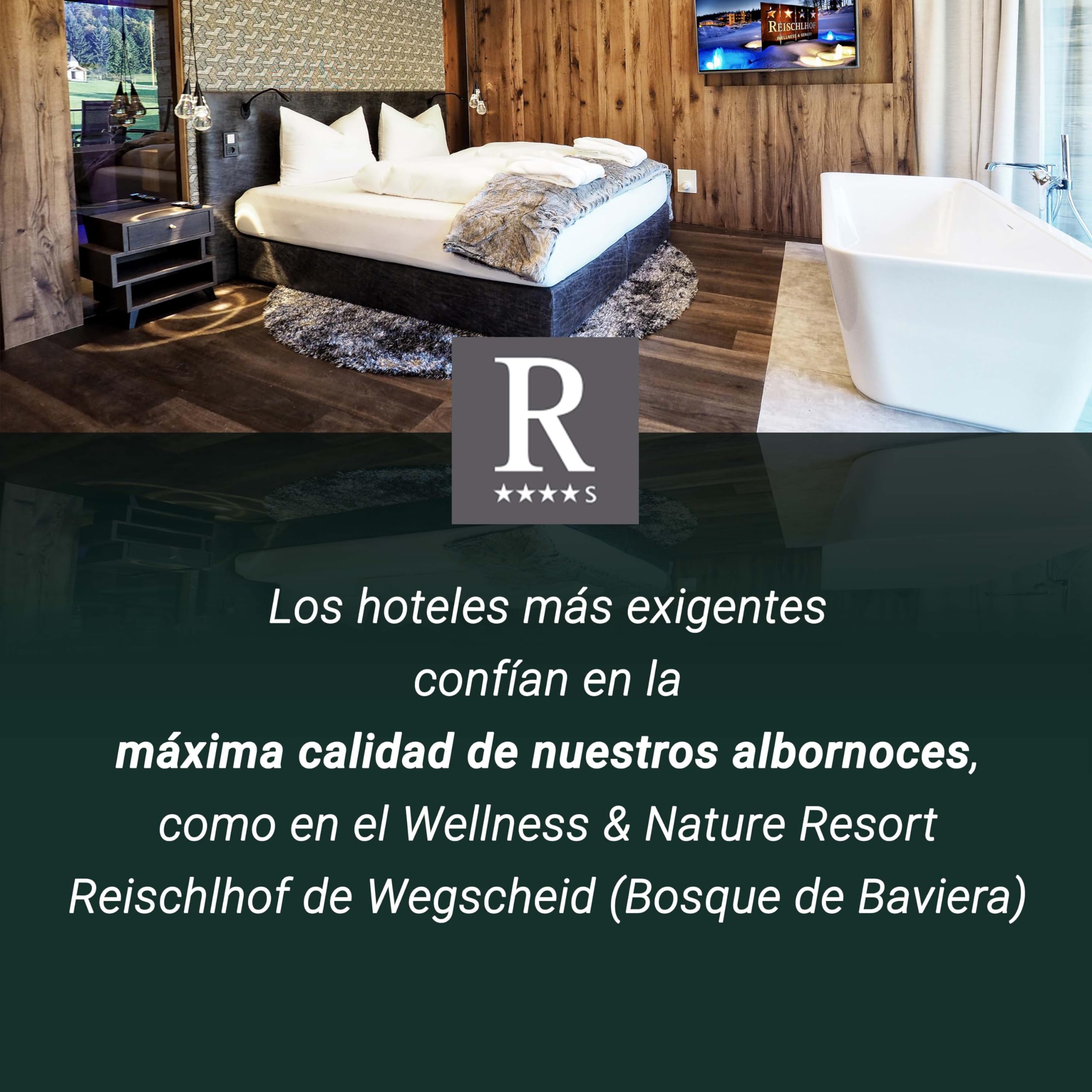 ZOLLNER Albornoz con capucha: agradable al tacto y muy absorbente, unisex, tejido mixto, tallas S-XXL, lavable, calidad hotelera, certificado Oeko Tex®, 568
