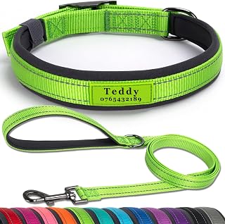 SEOUGEE Personalised Dog Collar and Leash Set | Durable Metal Buckle | Ultra Wide Soft Neoprene Padded | Adjustable Reflective Dog Collar for Small Medium Dogs (M, Green Set 37-47cm)