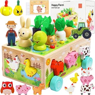 Montessori Spielzeug ab 1 2 3 Jahr,Kinder Holzspielzeug Motorikspielzeug ab 1 Jahr,Montessori Geschenk Mädchen Jungen,Hand Auge Koordination Motorikspielzeug,Baby Kinder Montessori Spielzeug