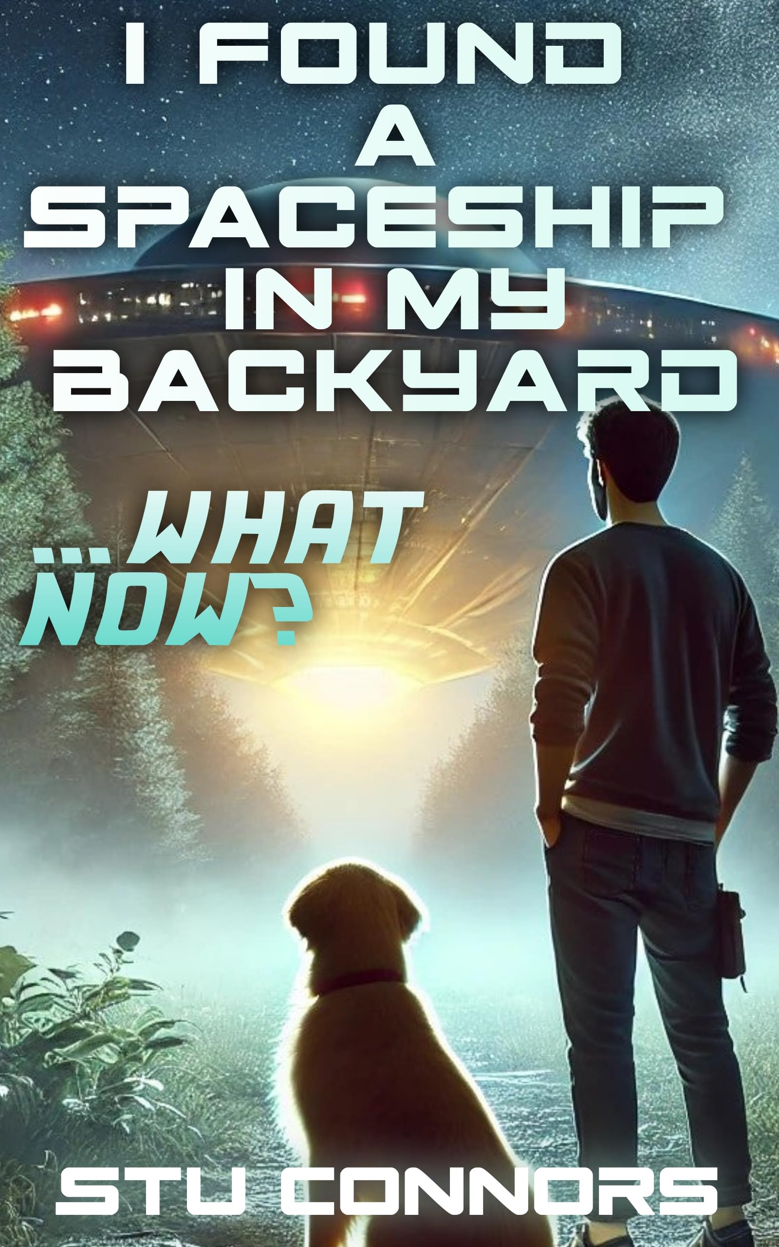 I Found a Spaceship in my Backyard. What now?