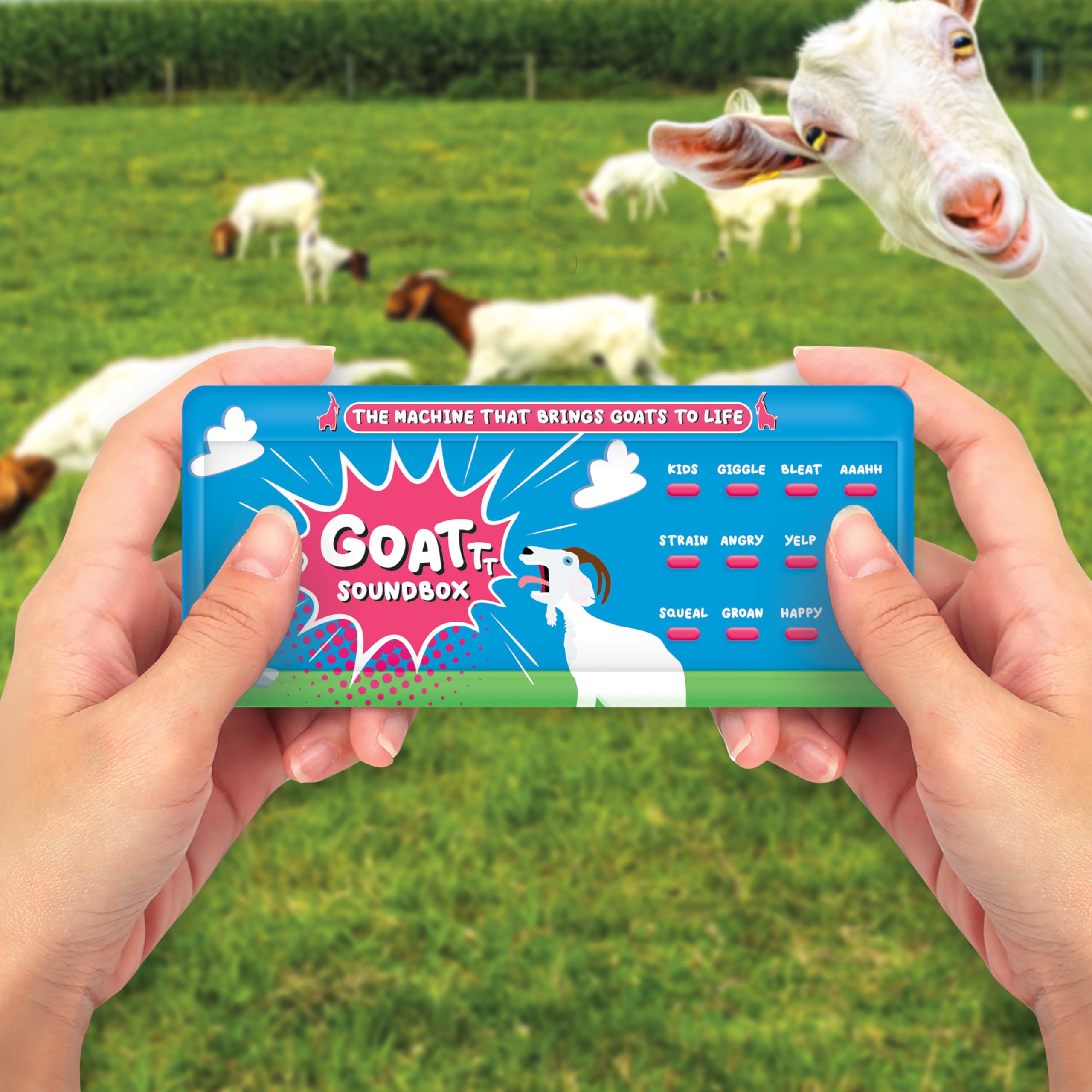 Gift Republic Goat Sound Box, Hilarious Prank Sound Machine, Sound Effects Gadget with 12 Goat Noises - Image 4