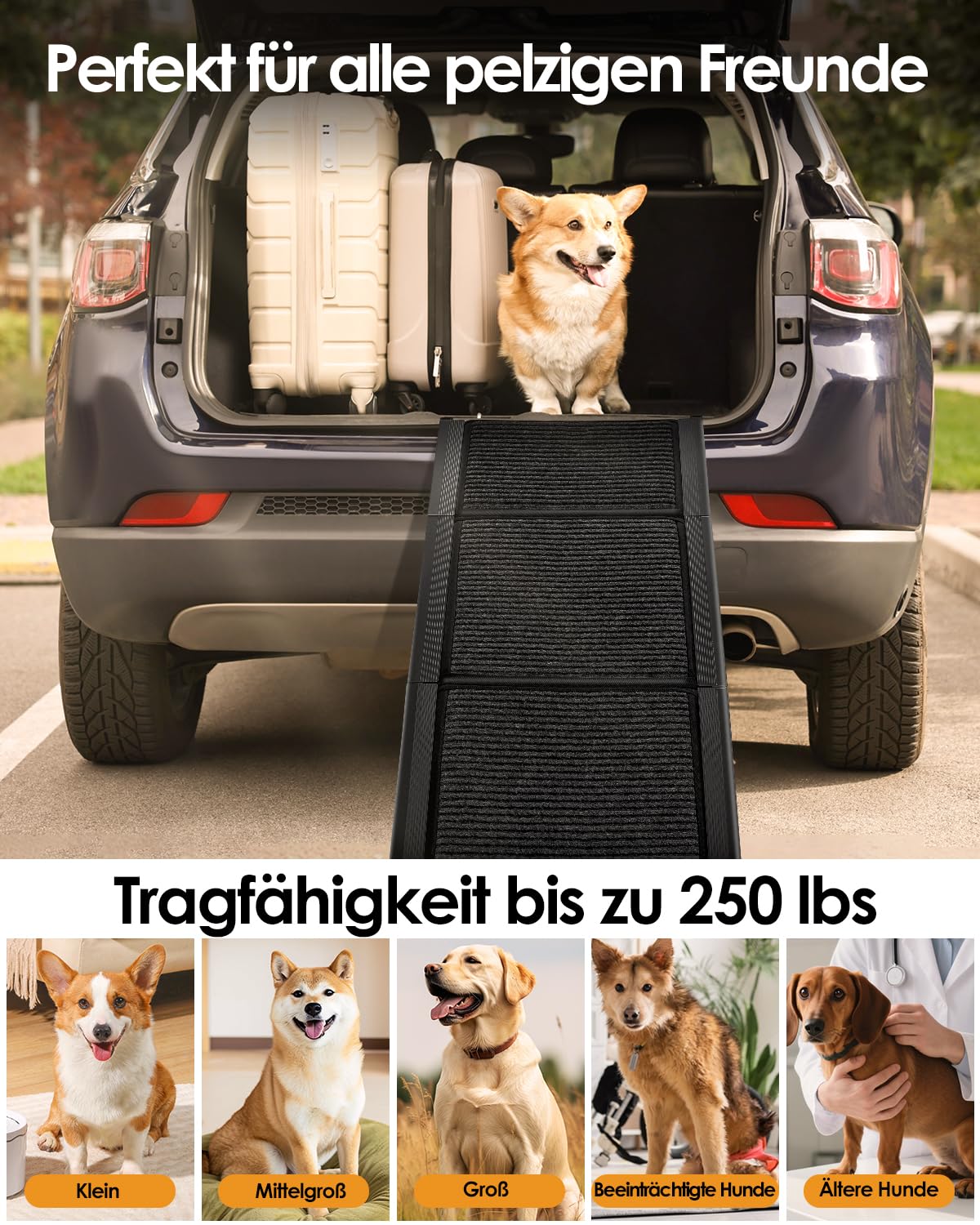 derimkcoa 180cm Hunderampe Auto Klappbar, Hundetreppe Auto mit Rutschfester Teppich, rutschfest Hunderampen für Autos, LKWs und SUV