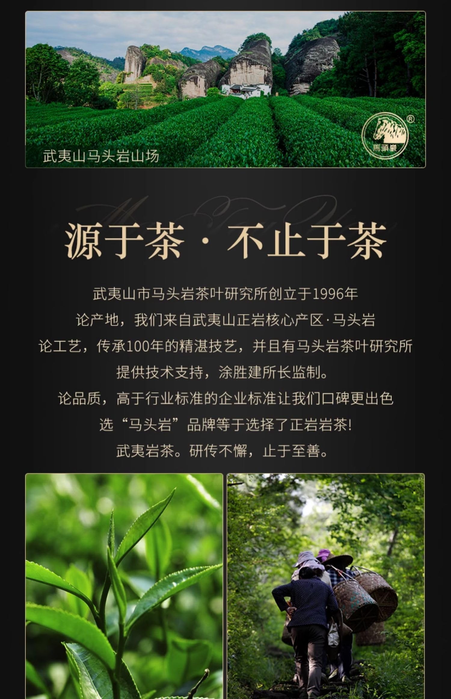 Amazon.com : 武夷岩茶,肉桂武夷岩茶,正岩茶,108g,Shipped from China