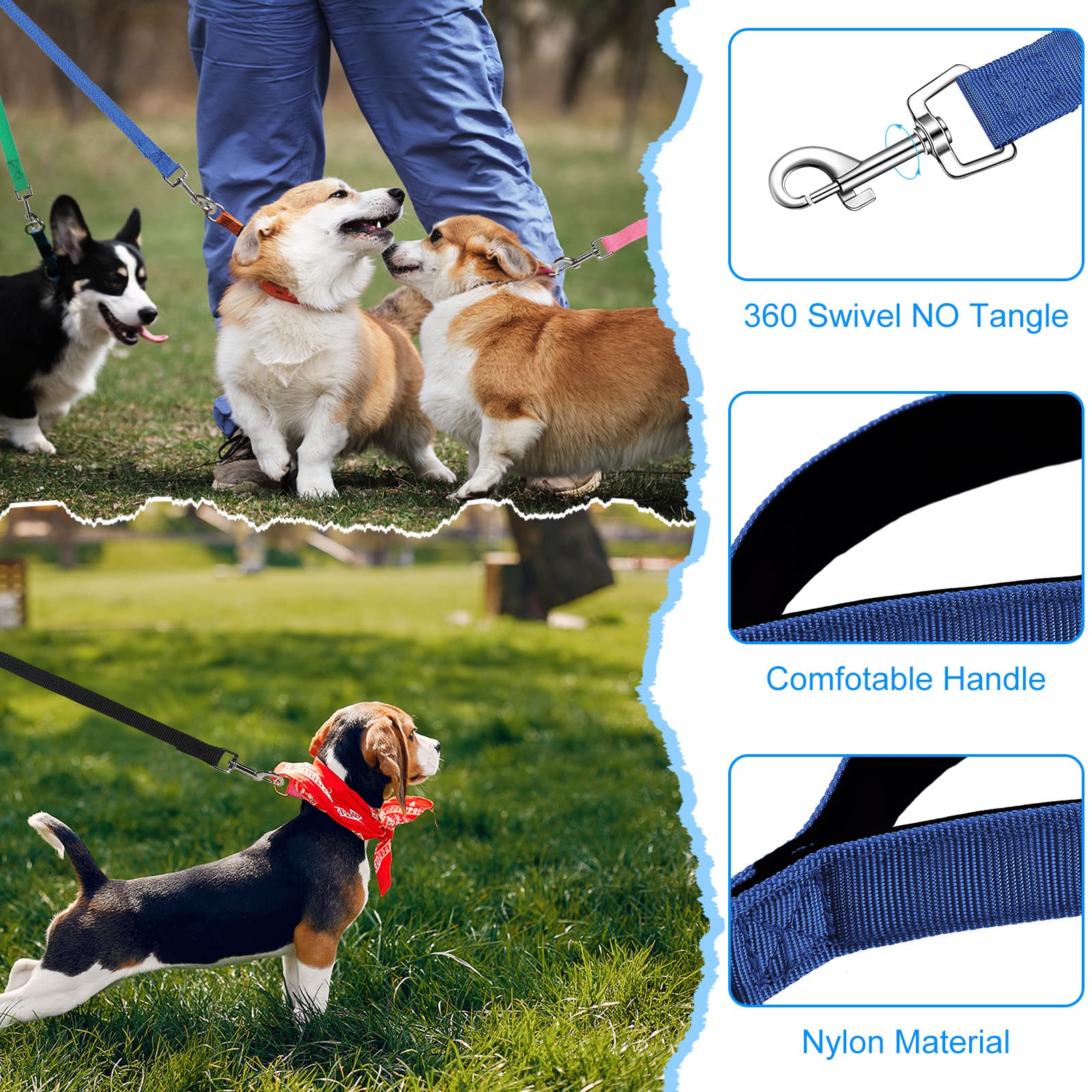 Hillban Pet Training Lead