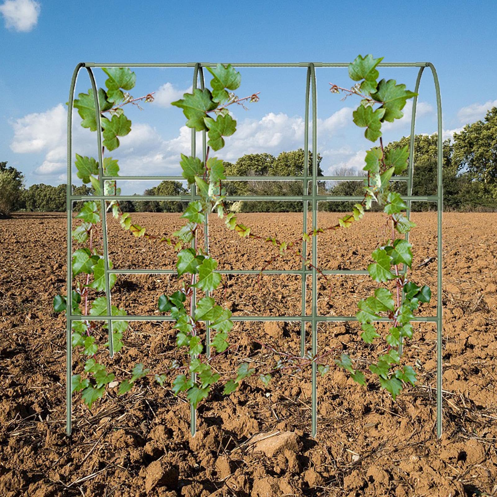 Enrejado para Pepinos Soporte en U de Alta Resistencia | Enrejado Para Hortalizas De Elevado Soportes Temporales Y Estacionales Para Guisantes, Uvas, Tomates, Calabazas Y Berenjenas