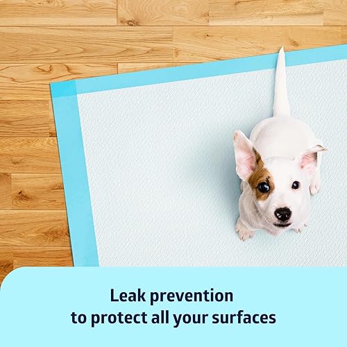 Miniatura 5 de Medline Almohadillas desechables para portabrocas, 17 x 24 pulgadas (paquete de 100), almohadillas de absorción ultraligeras para protección de