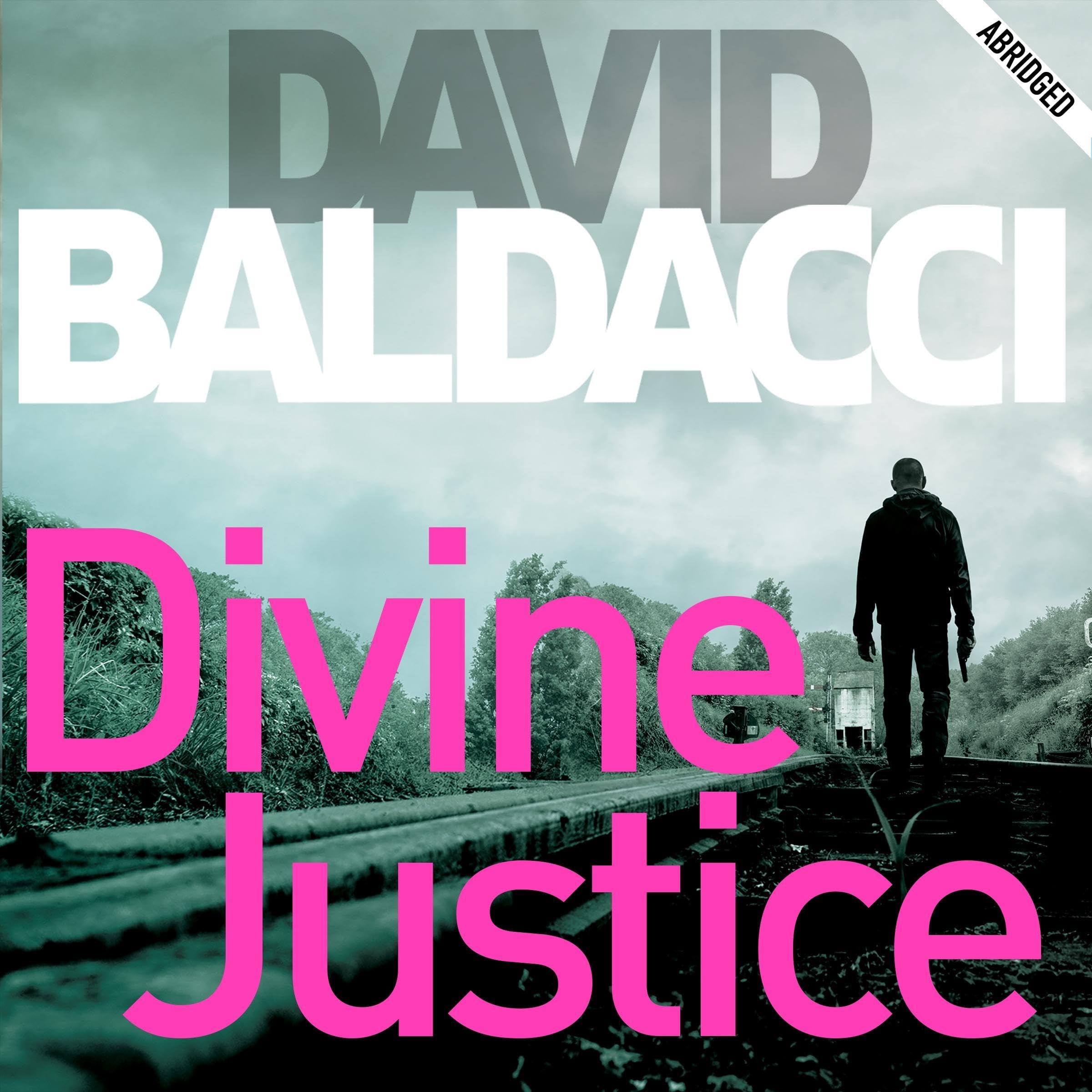 Cover art for Divine Justice: The Camel Club Book 4