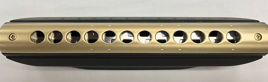 Amazon.co.jp: Tombo Dragonfly Harmonica Micron – 01 No. 2248